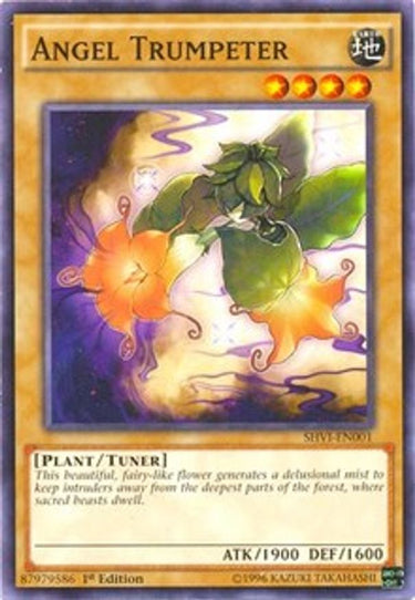 Angel Trumpeter | SHVI-EN001